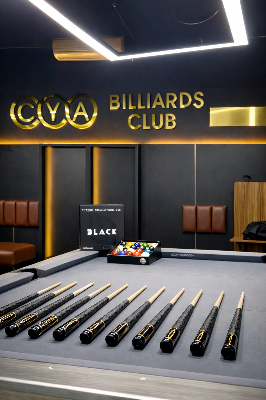 CYA Billiards Gallery 4